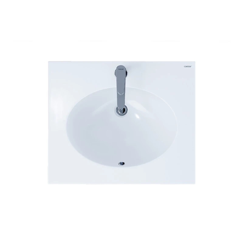 Ảnh Chậu rửa dương vành Caesar L5022 1