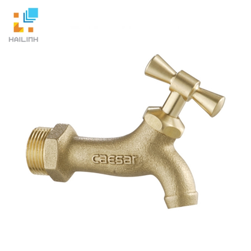 Ảnh Vòi lạnh gắn tường Caesar W035 1
