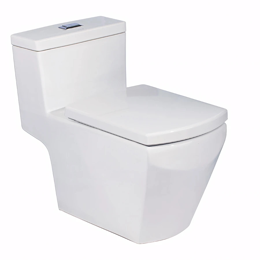 Ảnh Bồn cầu 1 khối Cotto C10717 1