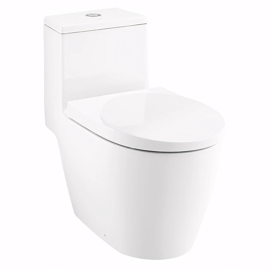 Ảnh Bồn cầu 1 khối Cotto C100207 1