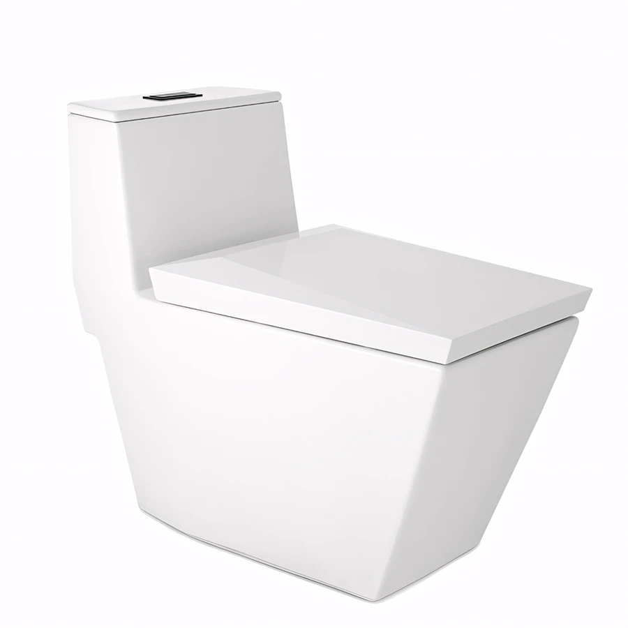 Ảnh Bồn cầu 1 khối Cotto C102807 1