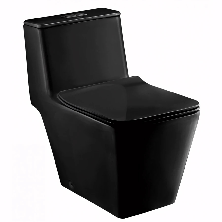 Ảnh Bồn cầu 1 khối Cotto C1032 MBK 1