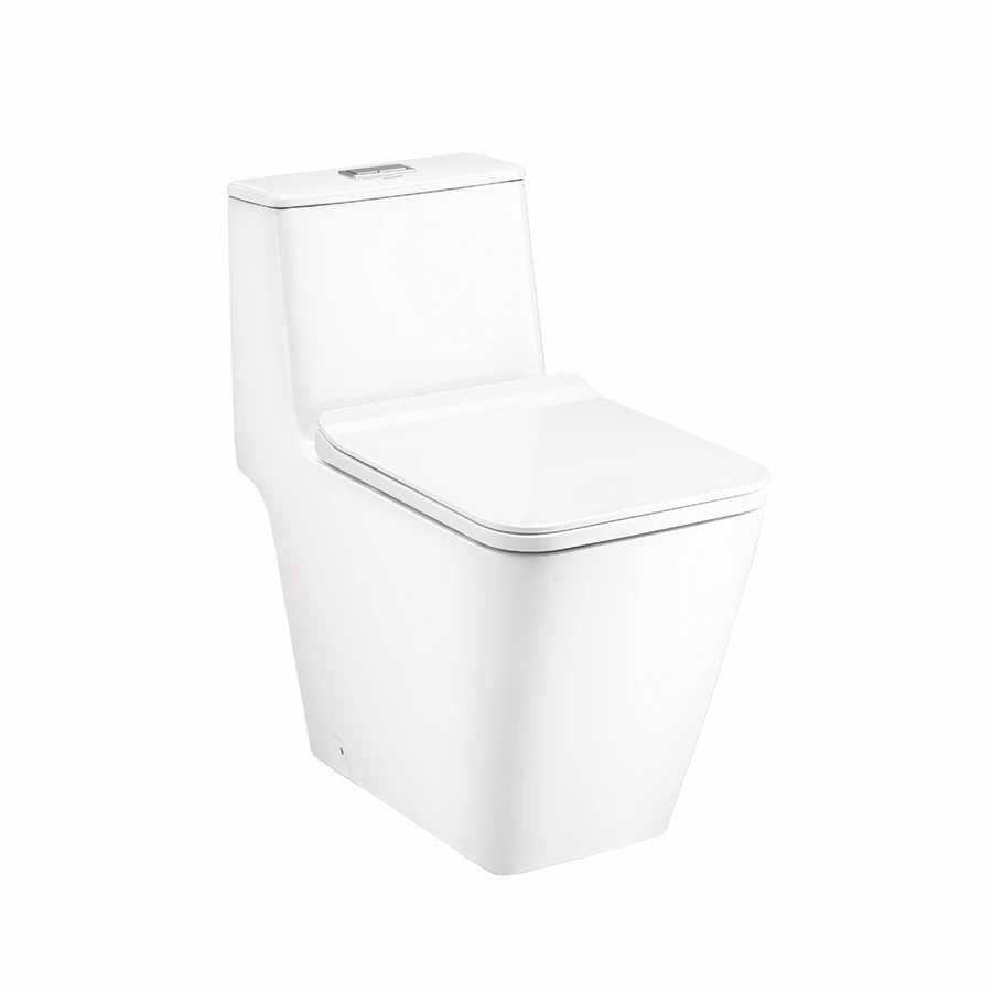 Ảnh Bồn cầu 1 khối Cotto C10327+C91542 1