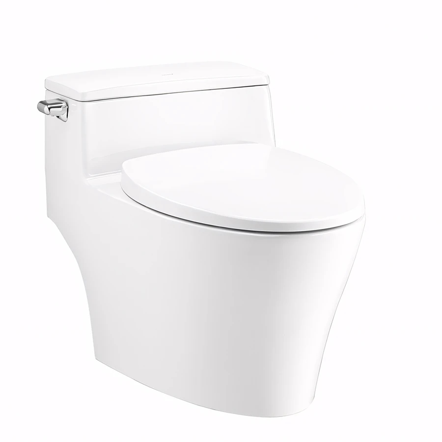 Ảnh Bồn cầu 1 khối Cotto C10357 1