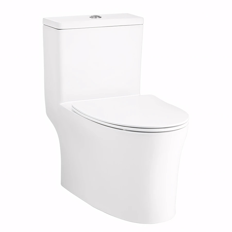 Ảnh Bồn cầu 1 khối Cotto C105607 1