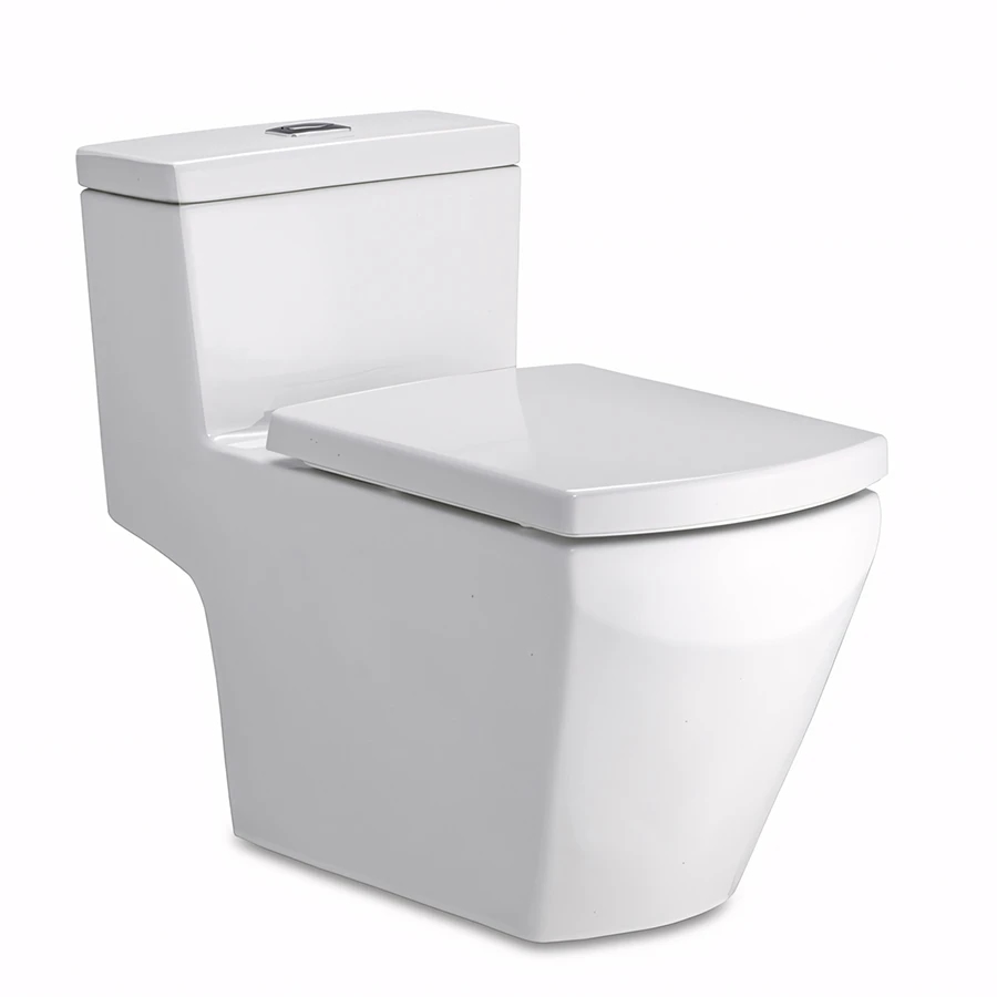Ảnh Bồn cầu 1 khối Cotto C107127 1
