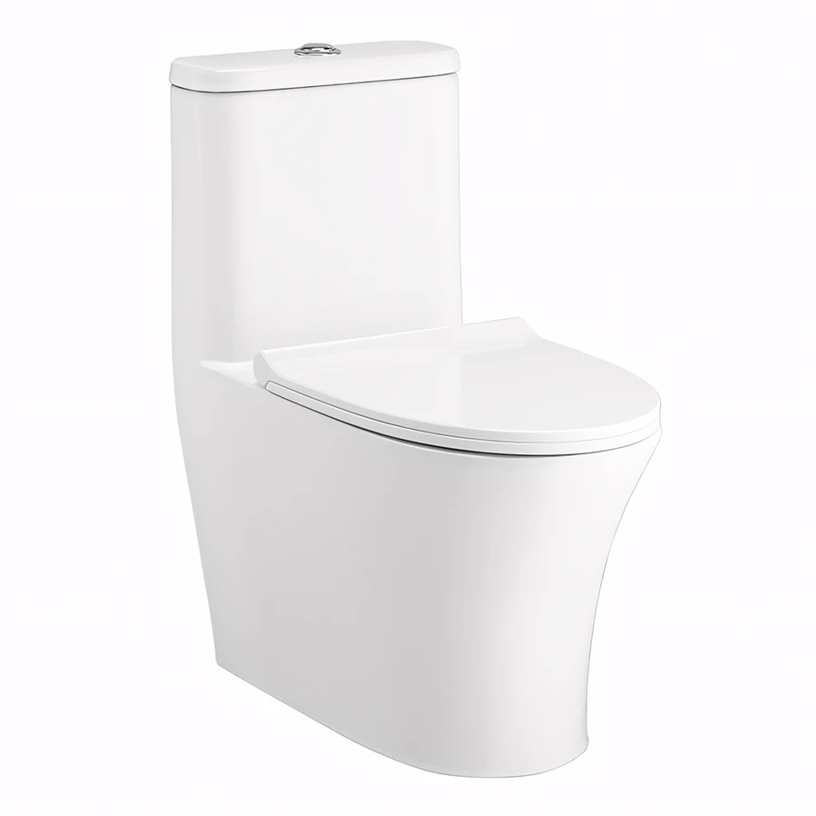 Ảnh Bồn cầu 1 khối Cotto C11001HNOS 1