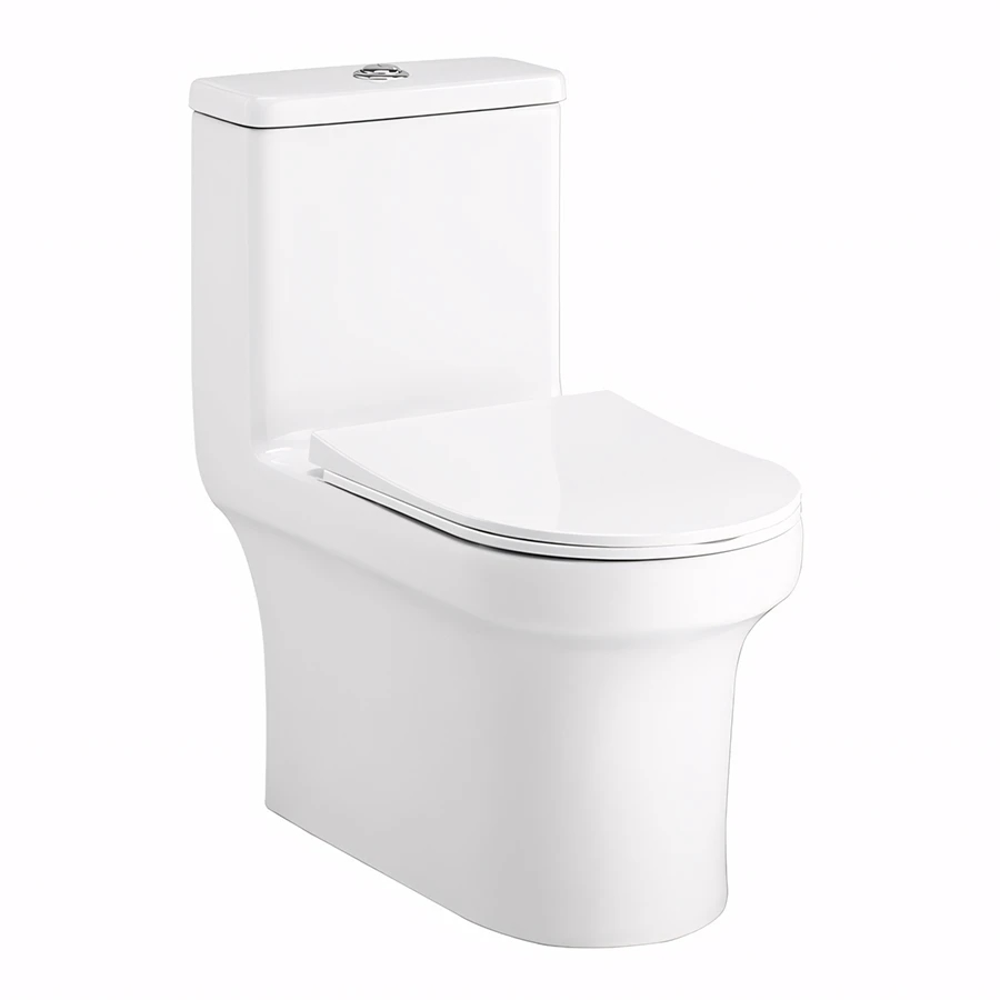 Ảnh Bồn cầu 1 khối Cotto C11002HOS 1