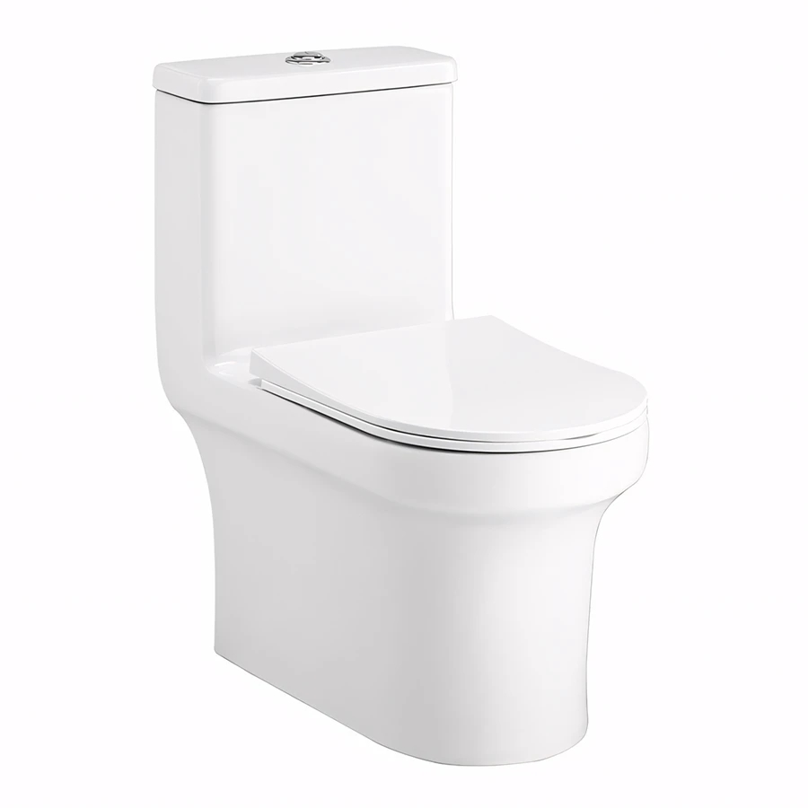 Ảnh Bồn cầu 1 khối Cotto C11002HOS 1