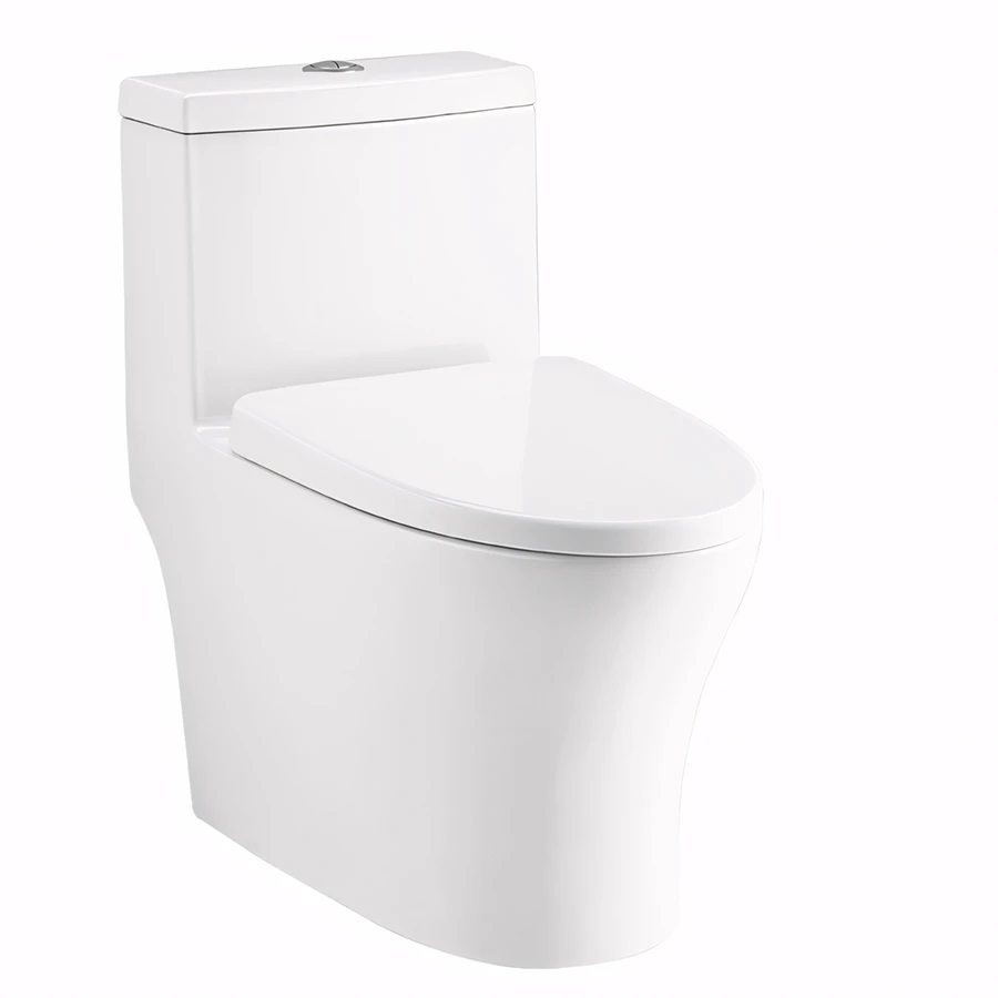 Ảnh Bồn cầu 1 khối Cotto C11004HOS 1