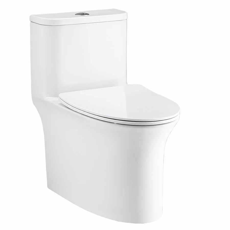 Ảnh Bồn cầu 1 khối Cotto C11006HOS 1