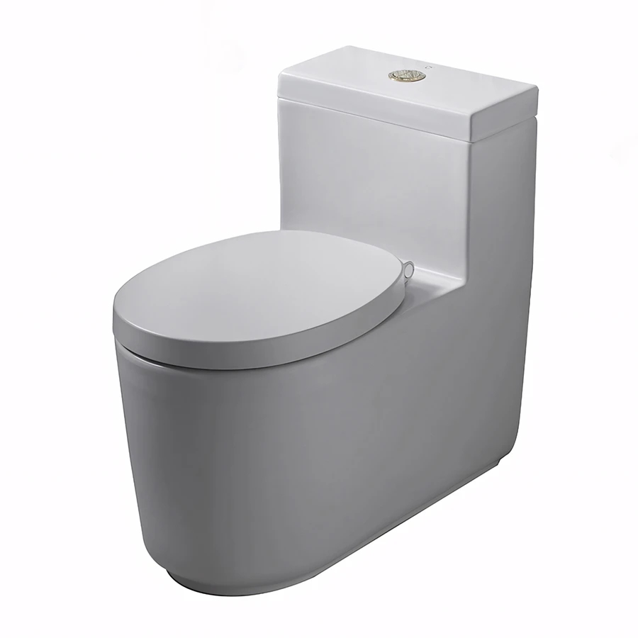 Ảnh Bồn cầu 1 khối COTTO CPW10007/MWH#GR2 1