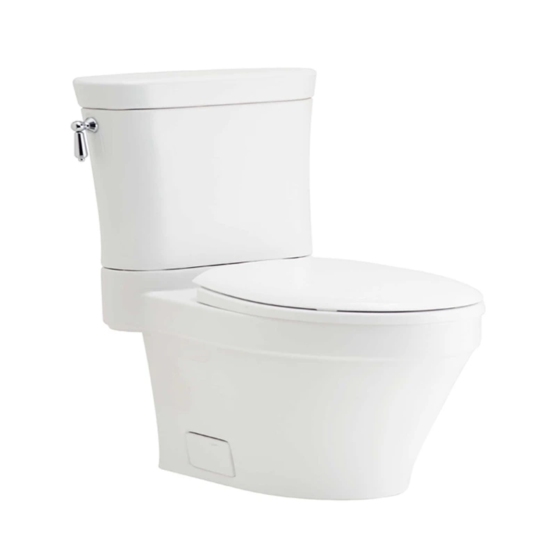 Ảnh Bồn cầu 2 khối COTTO C12607 1