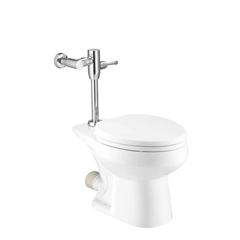 Ảnh Bồn cầu dùng van xả COTTO C1451 1