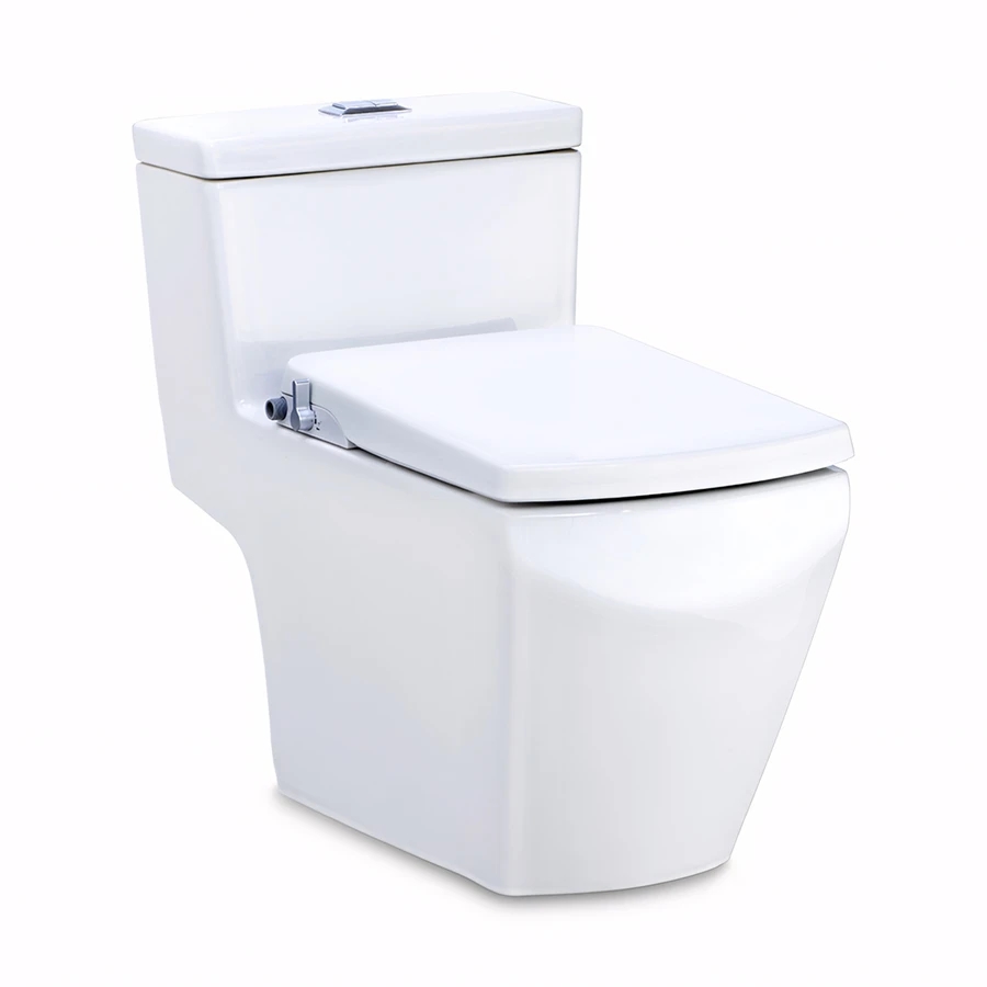 Ảnh Bồn cầu nắp rửa cơ Cotto C107127(CN) 1