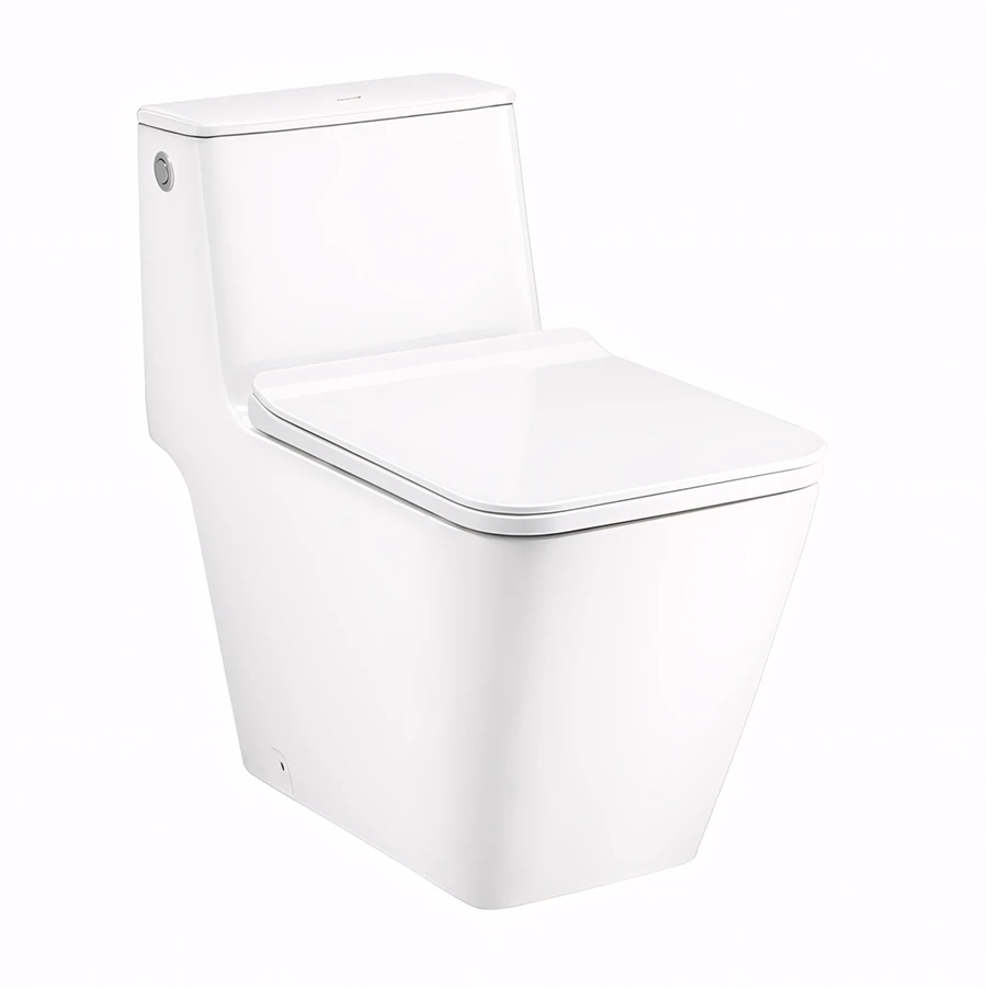 Ảnh Bồn cầu xả không chạm Cotto C103257 1