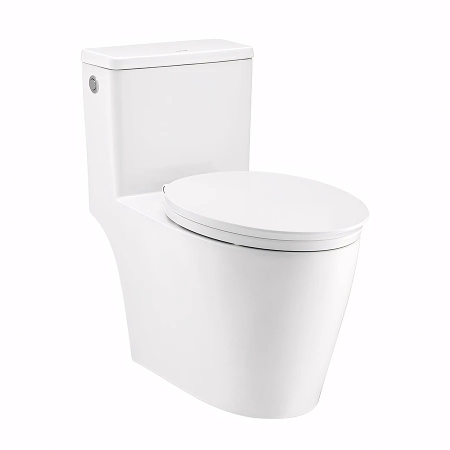 Ảnh Bồn cầu xả không chạm Cotto C110517 1