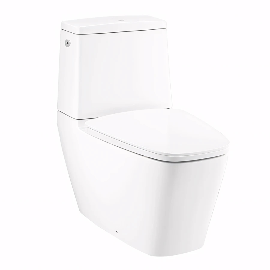 Ảnh Bồn cầu xả không chạm Cotto C135137 1