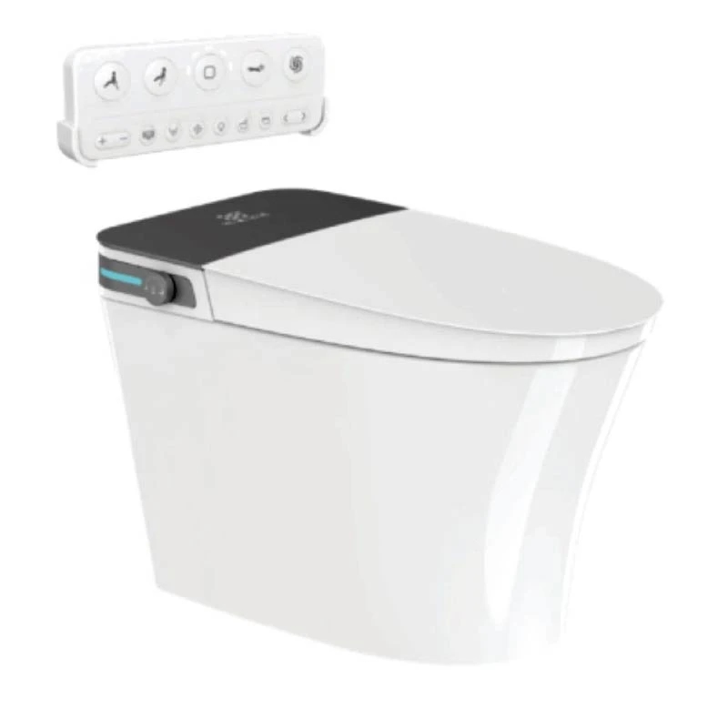 Bồn cầu thông minh Densta DS TA – 767 DF