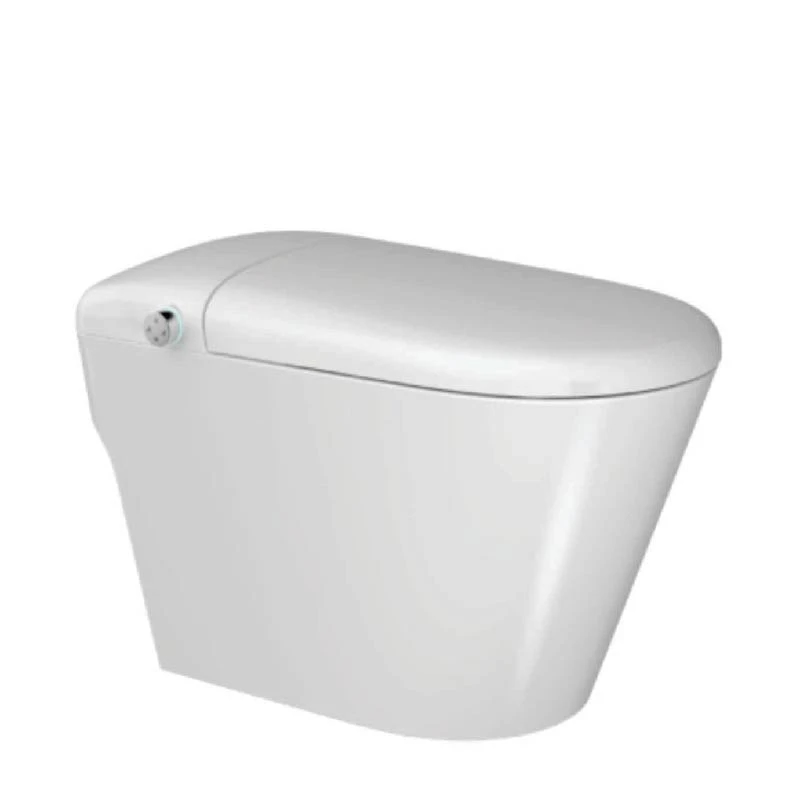 Bồn cầu thông minh Densta DS TA – T953 DF