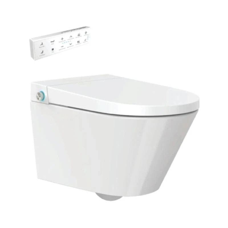 Ảnh Bồn cầu thông minh Densta DS TA – TE 56 1