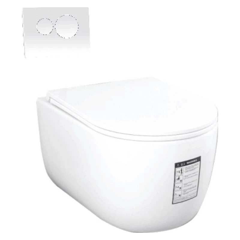 Ảnh Bồn cầu âm tường Densta DS 7109.101 KK 1