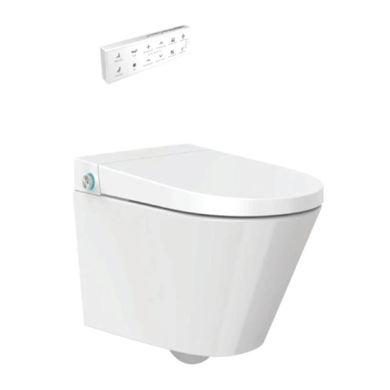 Ảnh Bồn cầu âm tường Densta DS TA – E 50 DF 1