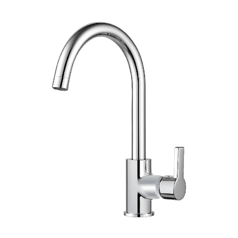 Ảnh Vòi rửa bát Densta DSVB6055CL 1