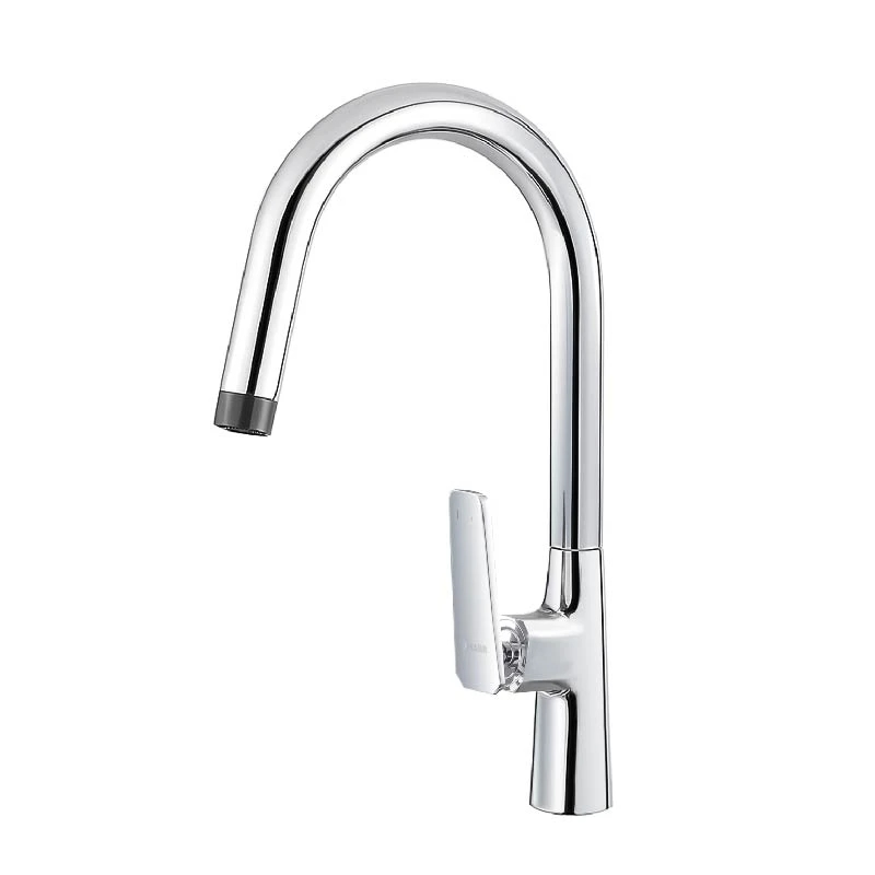 Ảnh Vòi rửa bát Densta DSVB8119 1