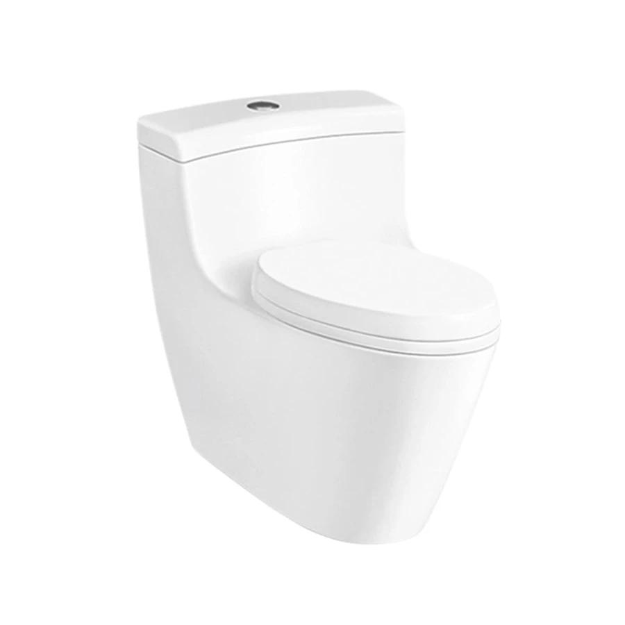 Ảnh Bồn cầu 1 khối D&K DK-C2389L 1