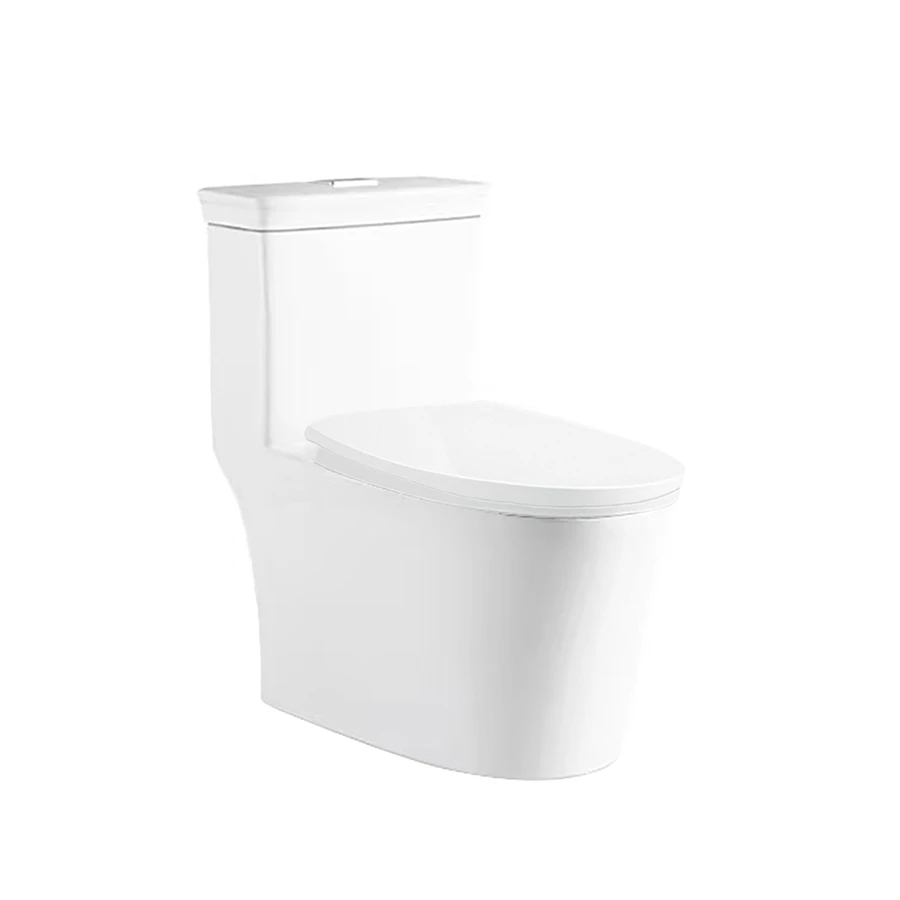 Ảnh Bồn cầu 1 khối D&K DK-C2406 1