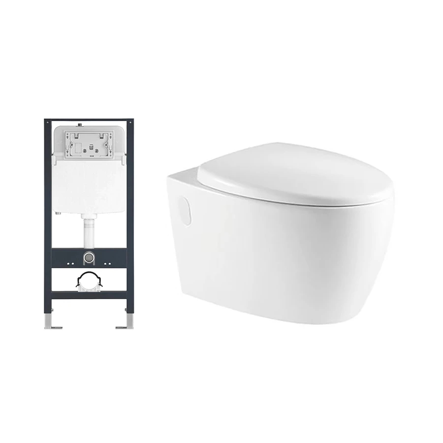 Ảnh Bồn cầu âm tường D&K W205 1