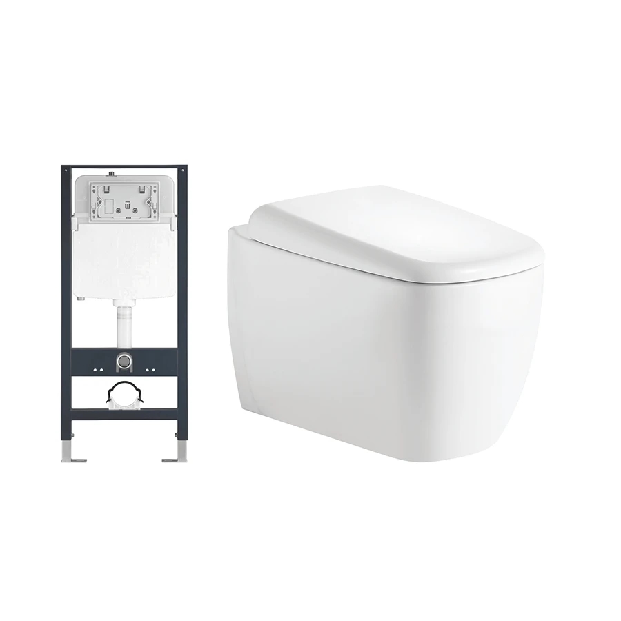 Ảnh Bồn cầu âm tường D&K W206 1