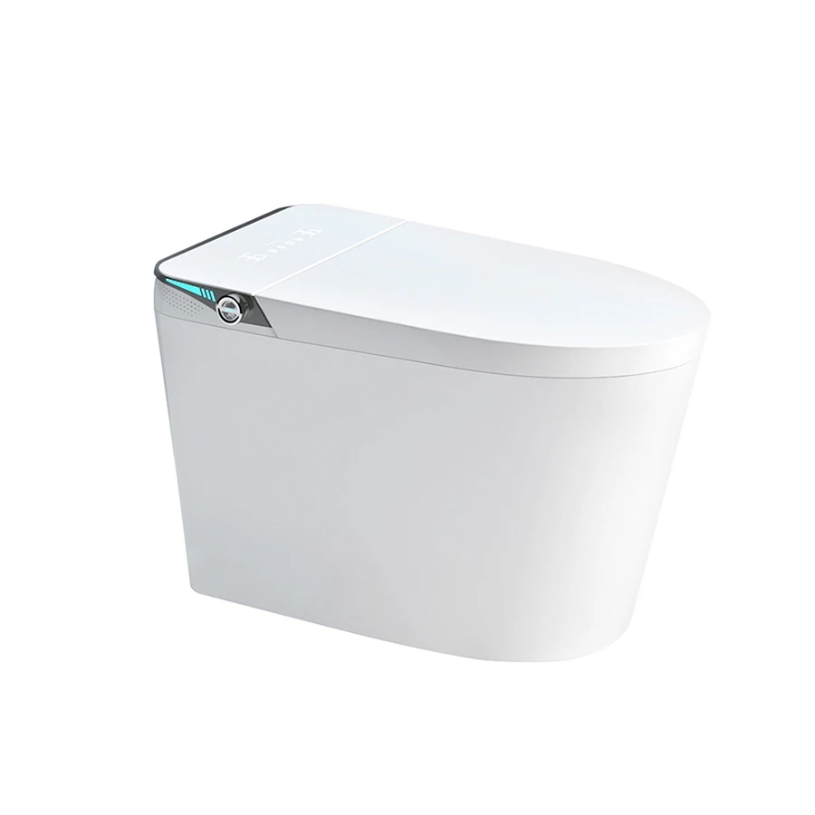 Ảnh Bồn cầu thông minh D&K ST6901E 1