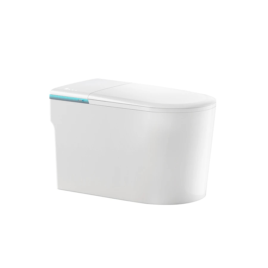 Ảnh Bồn cầu thông minh D&K ST6903E 1