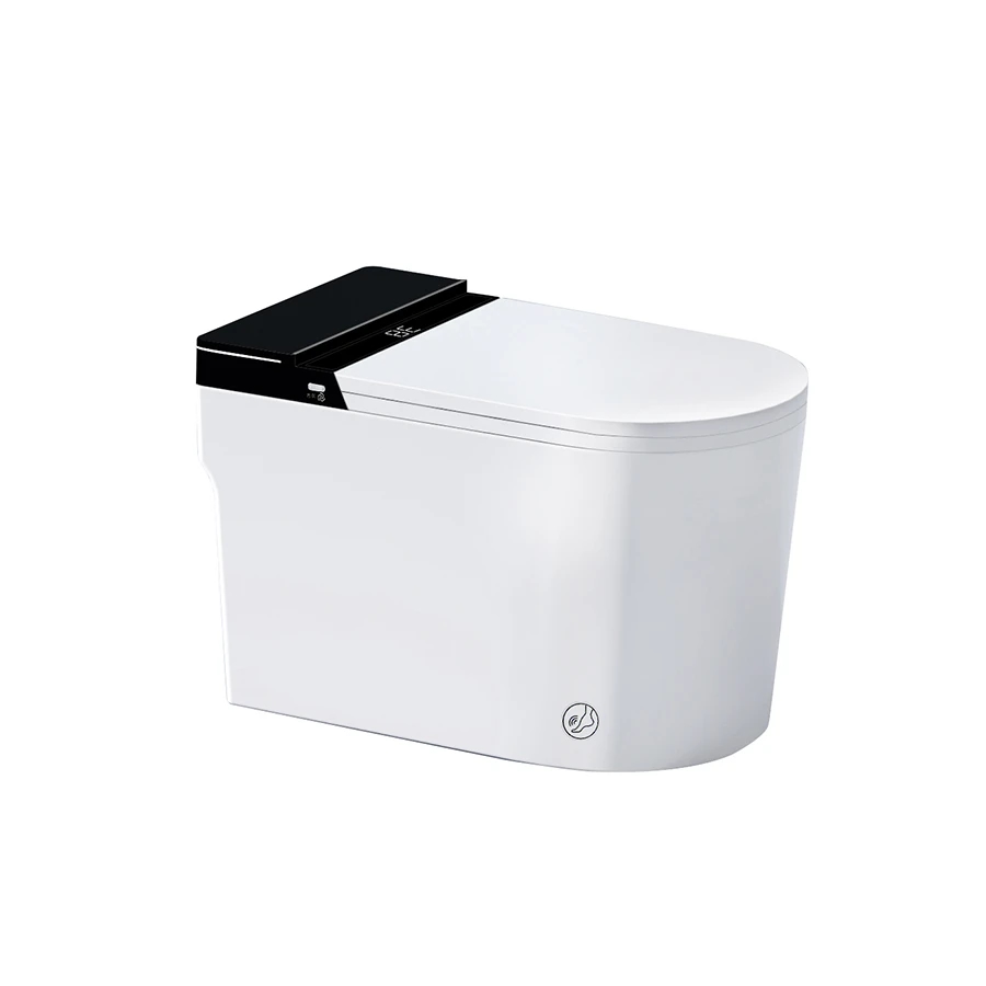 Ảnh Bồn cầu thông minh D&K ST6904E 1