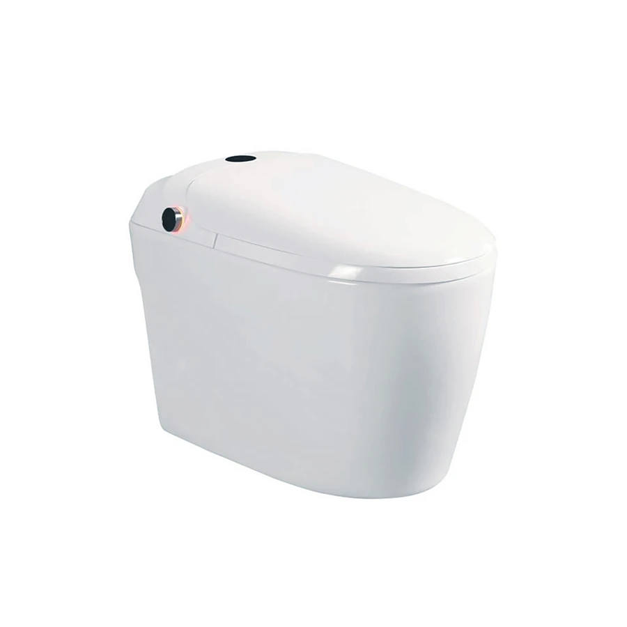 Ảnh Bồn cầu thông minh DK-AC1229 1