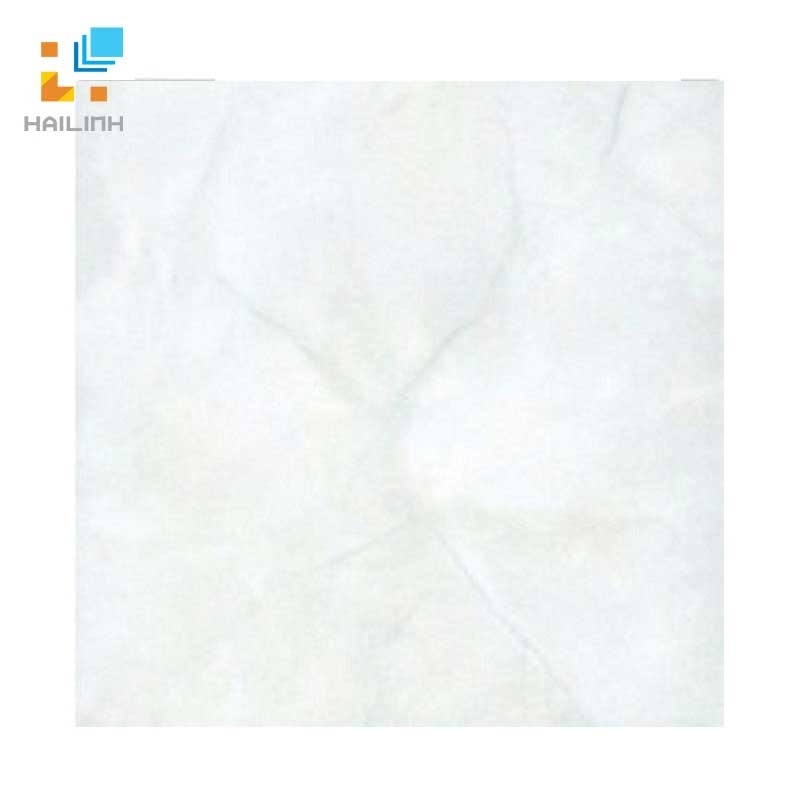 Ảnh Gạch Đồng Tâm 3030NGOCTRAI001 1