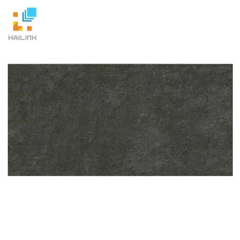 Ảnh Gạch Đồng Tâm 3060GECKO005 1