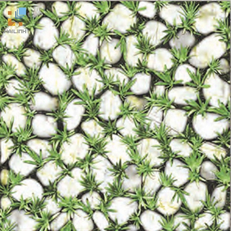 Ảnh Gạch Đồng Tâm 4040CLG003 1