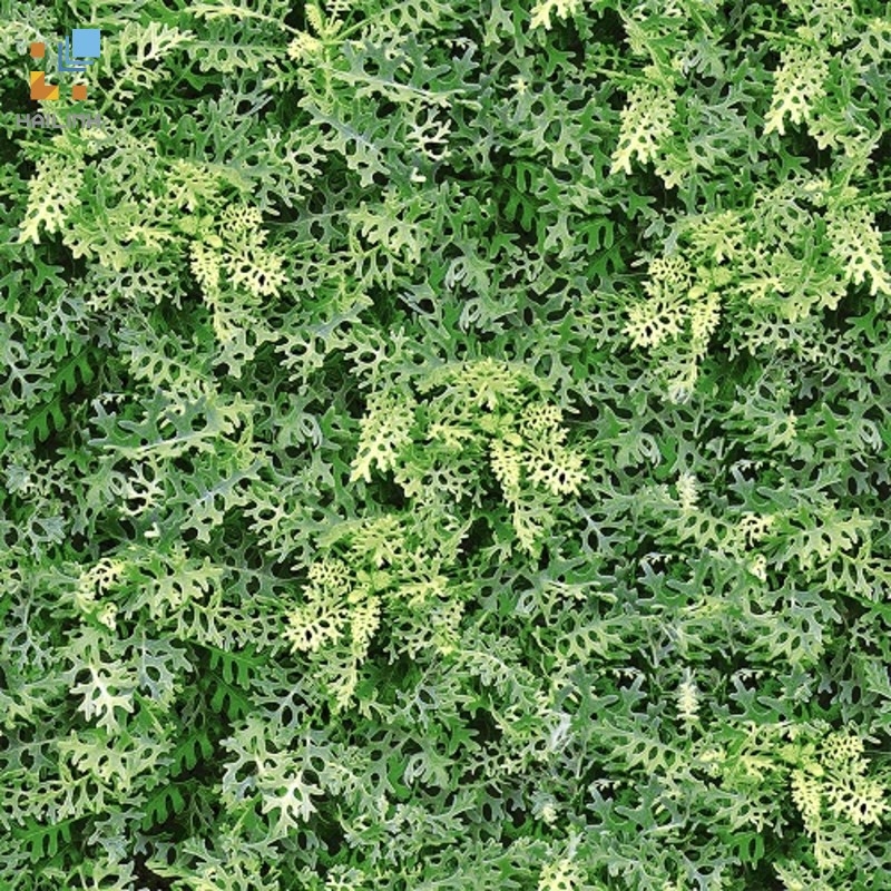 Ảnh Gạch Đồng Tâm 4040GREENERY001 1