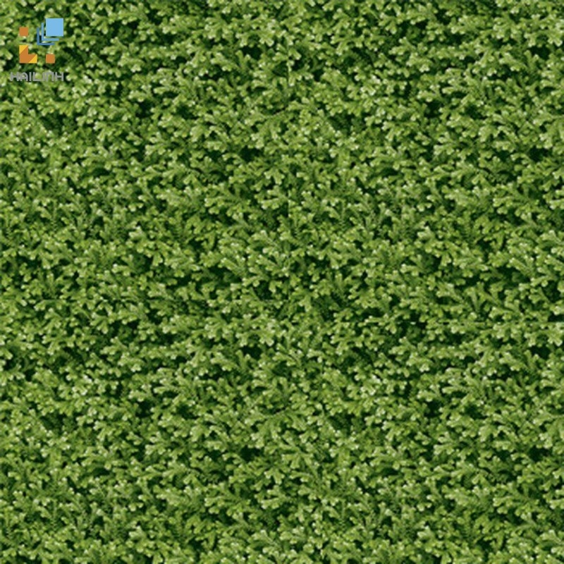 Ảnh Gạch Đồng Tâm 4040THESEA001 1