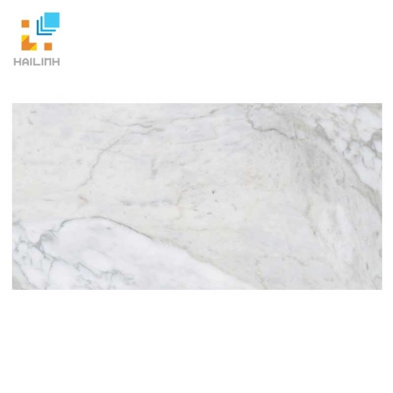 Ảnh Gạch Đồng Tâm 4080REGAL016-H+ 1