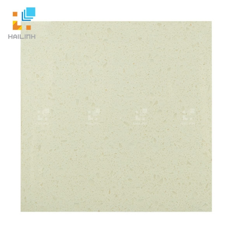 Ảnh Gạch Đồng Tâm 6060DA009-FP 1