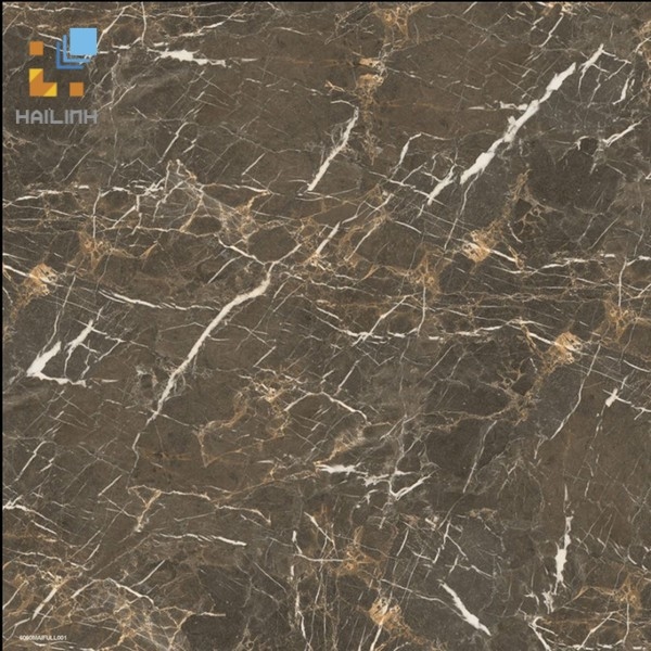 Ảnh Gạch Đồng Tâm 6060HAIVAN007-FP 1