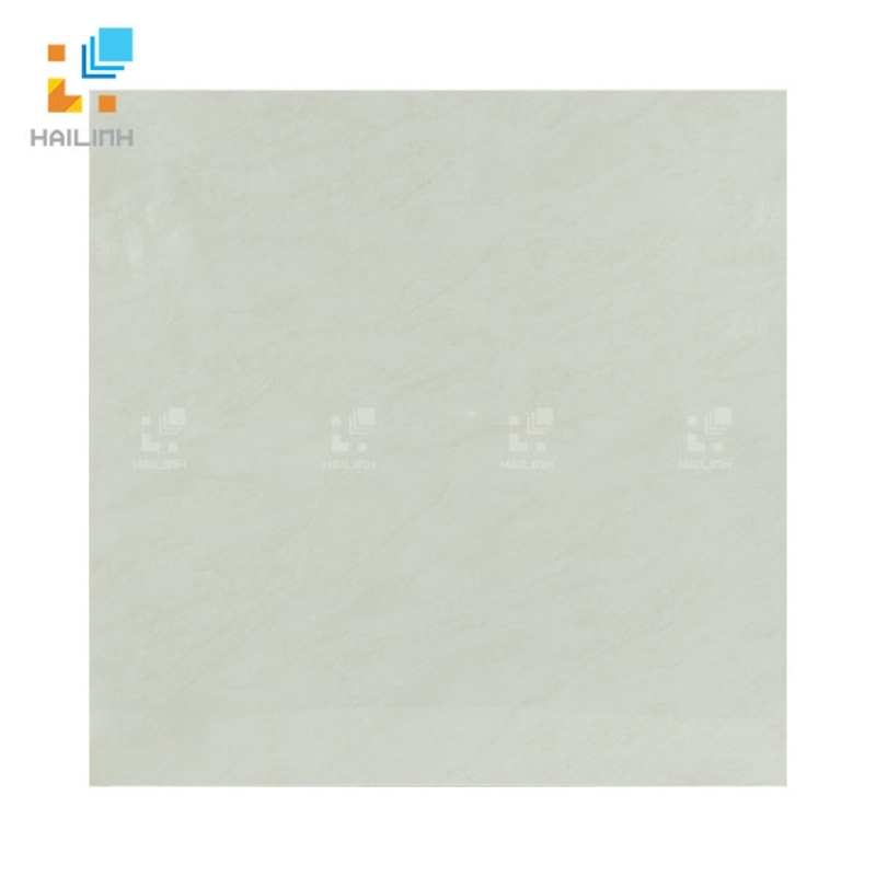 Ảnh Gạch Đồng Tâm 6060TRUONGSON001-FF 1