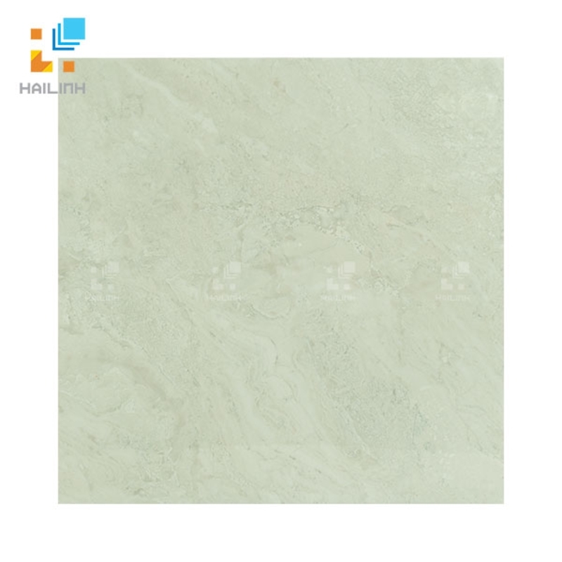 Ảnh Gạch Đồng Tâm 6060TRUONGSON002-FF 1