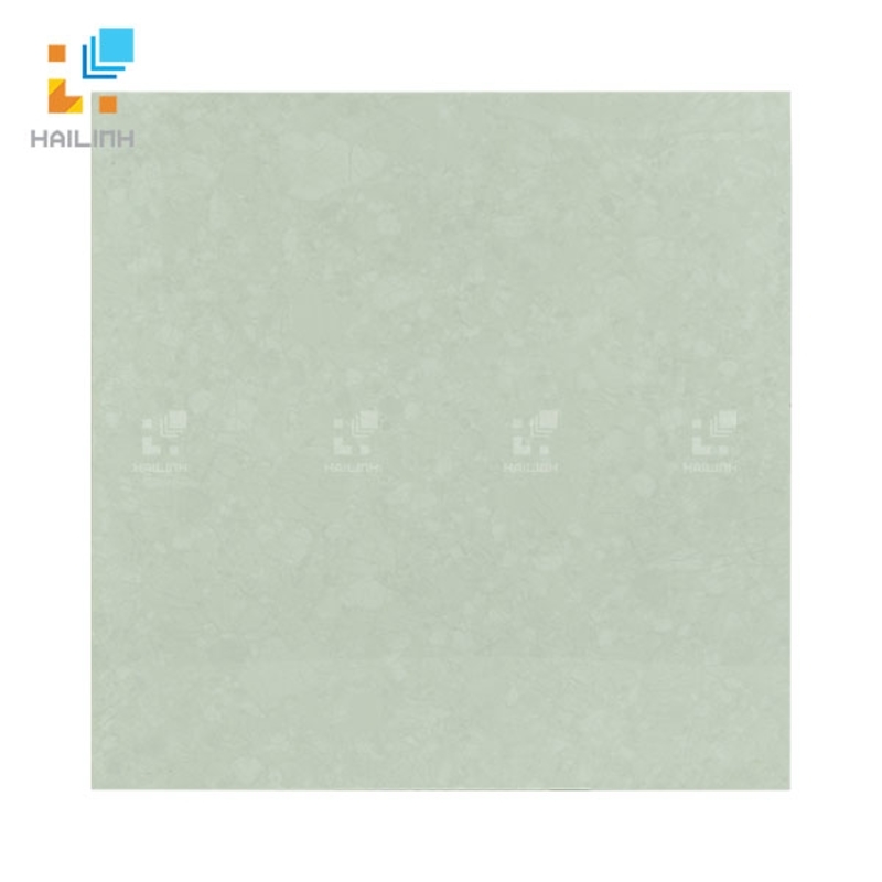 Ảnh Gạch Đồng Tâm 6060TRUONGSON004-FF 1