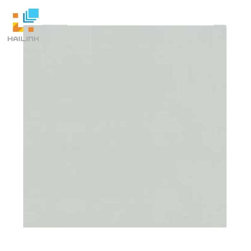 Ảnh Gạch đồng tâm 6060VENUS001 1