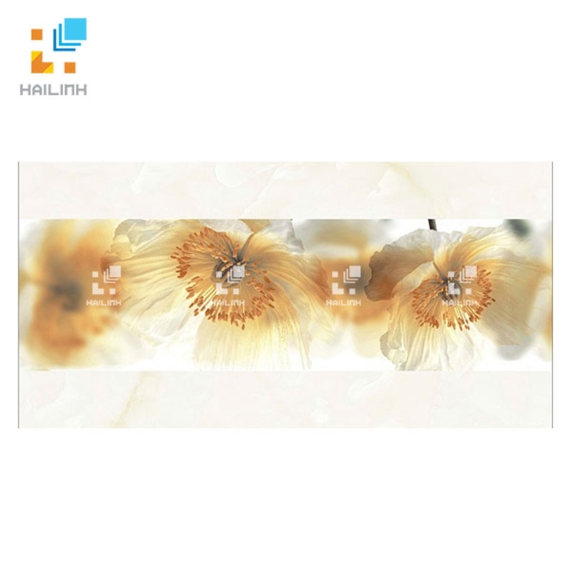 Ảnh Gạch Đồng tâm D3060ROXY007 1